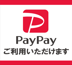 paypay logo